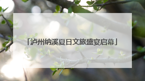 泸州纳溪夏日文旅盛宴启幕