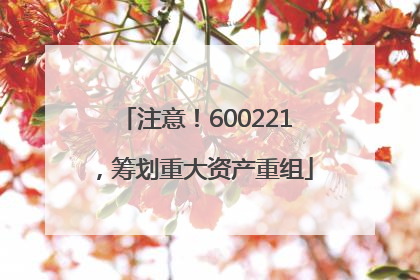 注意！600221，筹划重大资产重组