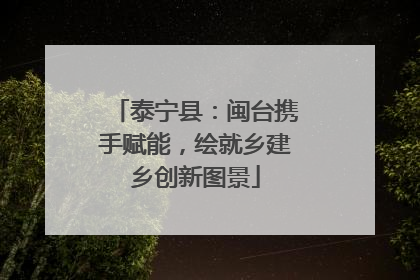 泰宁县：闽台携手赋能，绘就乡建乡创新图景