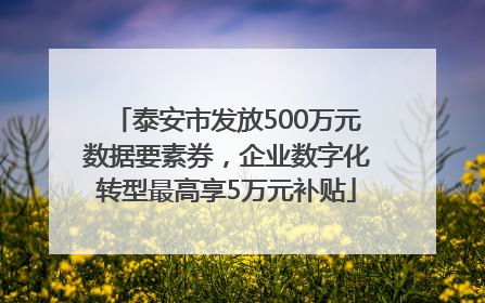 泰安市发放500万元数据要素券，企业数字化转型最高享5万元补贴