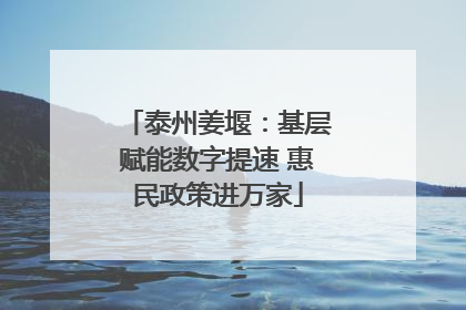 泰州姜堰：基层赋能数字提速 惠民政策进万家