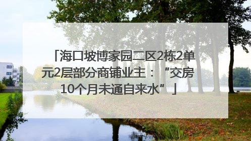 海口坡博家园二区2栋2单元2层部分商铺业主：“交房10个月未通自来水”