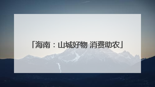 海南：山城好物 消费助农