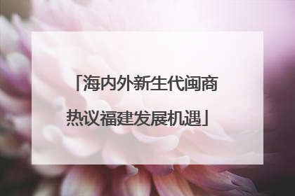海内外新生代闽商热议福建发展机遇