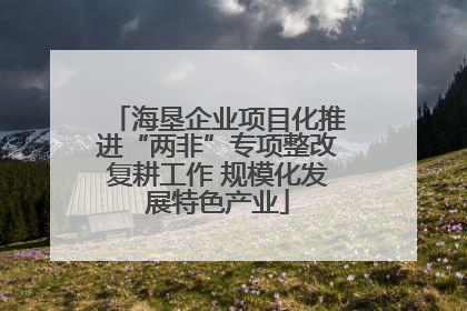 海垦企业项目化推进“两非”专项整改复耕工作 规模化发展特色产业