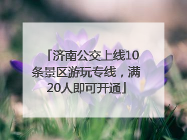 济南公交上线10条景区游玩专线，满20人即可开通