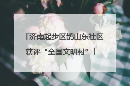 济南起步区鹊山东社区获评“全国文明村”
