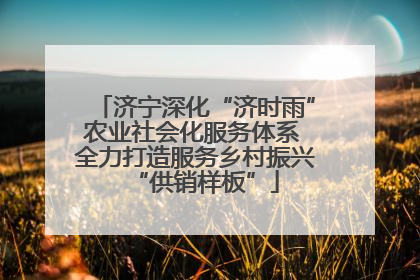 济宁深化“济时雨”农业社会化服务体系 全力打造服务乡村振兴“供销样板”
