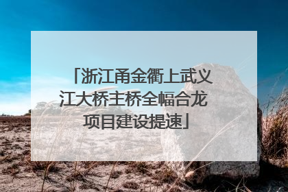 浙江甬金衢上武义江大桥主桥全幅合龙 项目建设提速
