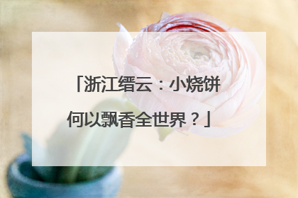 浙江缙云：小烧饼何以飘香全世界？