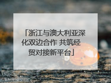 浙江与澳大利亚深化双边合作 共筑经贸对接新平台