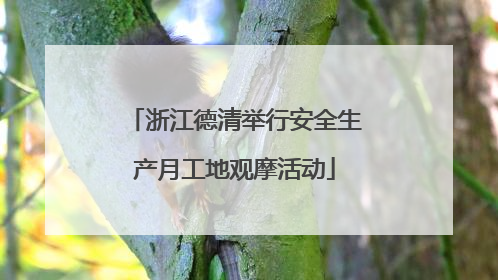 浙江德清举行安全生产月工地观摩活动