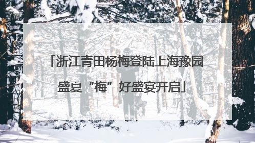 浙江青田杨梅登陆上海豫园 盛夏“梅”好盛宴开启