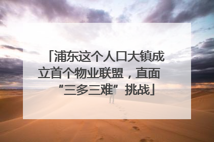 浦东这个人口大镇成立首个物业联盟，直面“三多三难”挑战