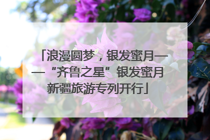 浪漫圆梦，银发蜜月——“齐鲁之星”银发蜜月新疆旅游专列开行