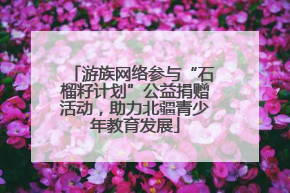 游族网络参与“石榴籽计划”公益捐赠活动，助力北疆青少年教育发展
