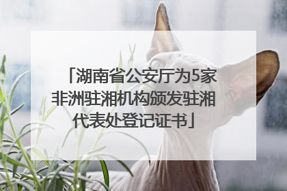 湖南省公安厅为5家非洲驻湘机构颁发驻湘代表处登记证书