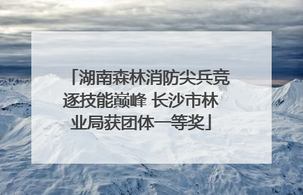 湖南森林消防尖兵竞逐技能巅峰 长沙市林业局获团体一等奖
