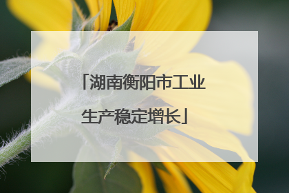 湖南衡阳市工业生产稳定增长