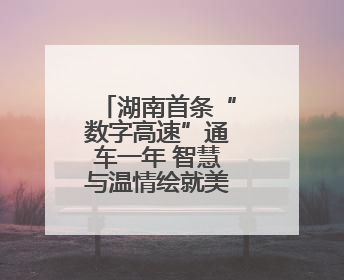 湖南首条“数字高速”通车一年 智慧与温情绘就美好出行图景