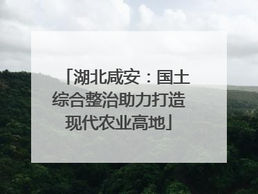 湖北咸安：国土综合整治助力打造现代农业高地