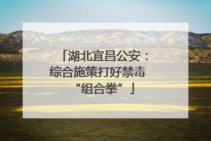 湖北宜昌公安：综合施策打好禁毒“组合拳”