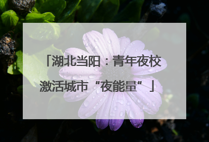 湖北当阳：青年夜校激活城市“夜能量”