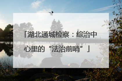 湖北通城检察：综治中心里的“法治前哨”