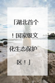 湖北首个！国家级文化生态保护区！