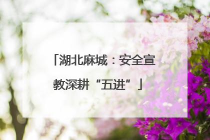 湖北麻城：安全宣教深耕“五进”
