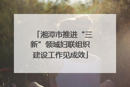 湘潭市推进“三新”领域妇联组织建设工作见成效
