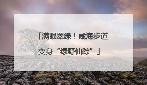 满眼翠绿！威海步道变身“绿野仙踪”