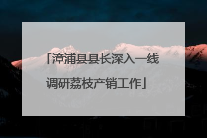 漳浦县县长深入一线调研荔枝产销工作