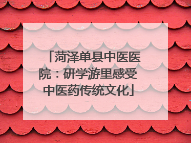 菏泽单县中医医院：研学游里感受中医药传统文化