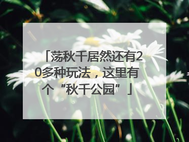 荡秋千居然还有20多种玩法，这里有个“秋千公园”
