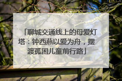 聊城交通线上的母爱灯塔：钟西燕以爱为舟，摆渡孤困儿童前行路