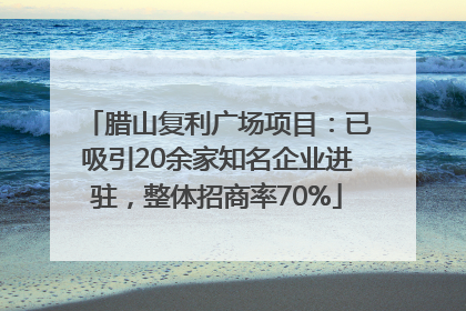 腊山复利广场项目：已吸引20余家知名企业进驻，整体招商率70%