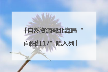 自然资源部北海局“向阳红17”船入列