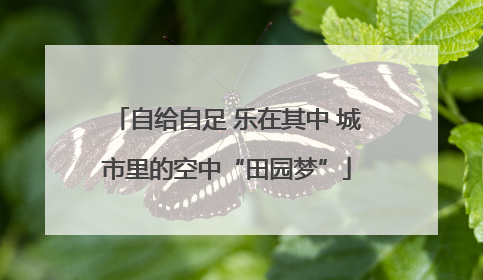 自给自足 乐在其中 城市里的空中“田园梦”