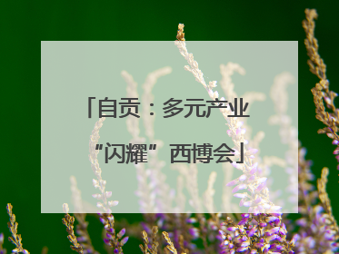 自贡：多元产业“闪耀”西博会