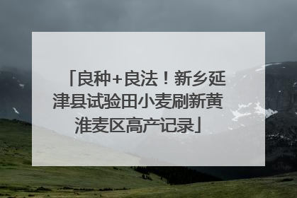 良种+良法！新乡延津县试验田小麦刷新黄淮麦区高产记录