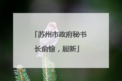 苏州市政府秘书长俞愉，履新
