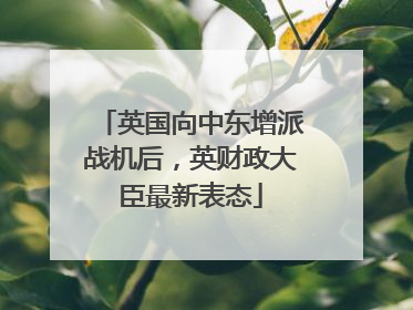 英国向中东增派战机后，英财政大臣最新表态