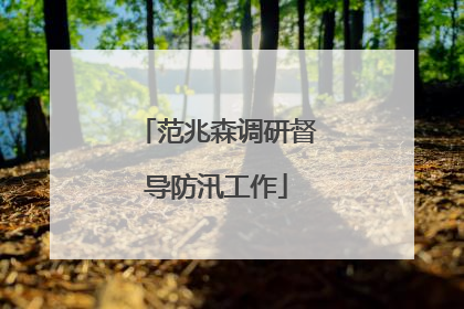 范兆森调研督导防汛工作