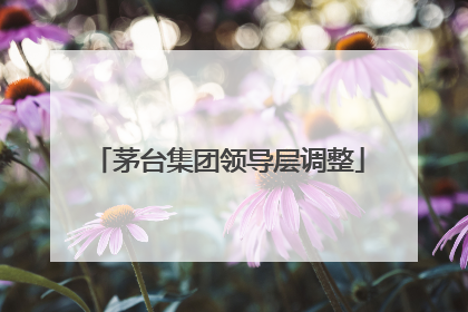茅台集团领导层调整