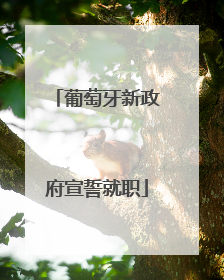 葡萄牙新政府宣誓就职