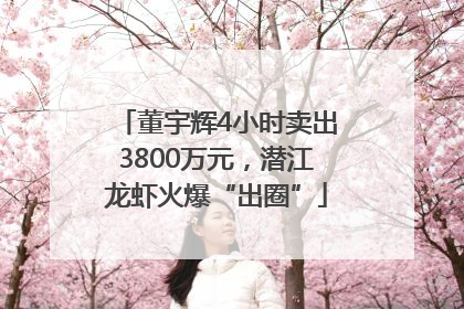董宇辉4小时卖出3800万元，潜江龙虾火爆“出圈”
