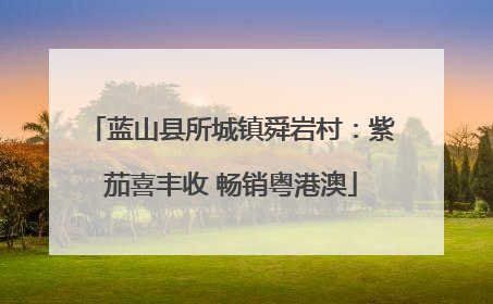 蓝山县所城镇舜岩村：紫茄喜丰收 畅销粤港澳