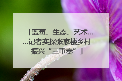 蓝莓、生态、艺术……记者实探张家楼乡村振兴“三重奏”