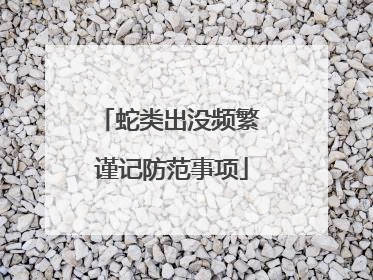 蛇类出没频繁 谨记防范事项